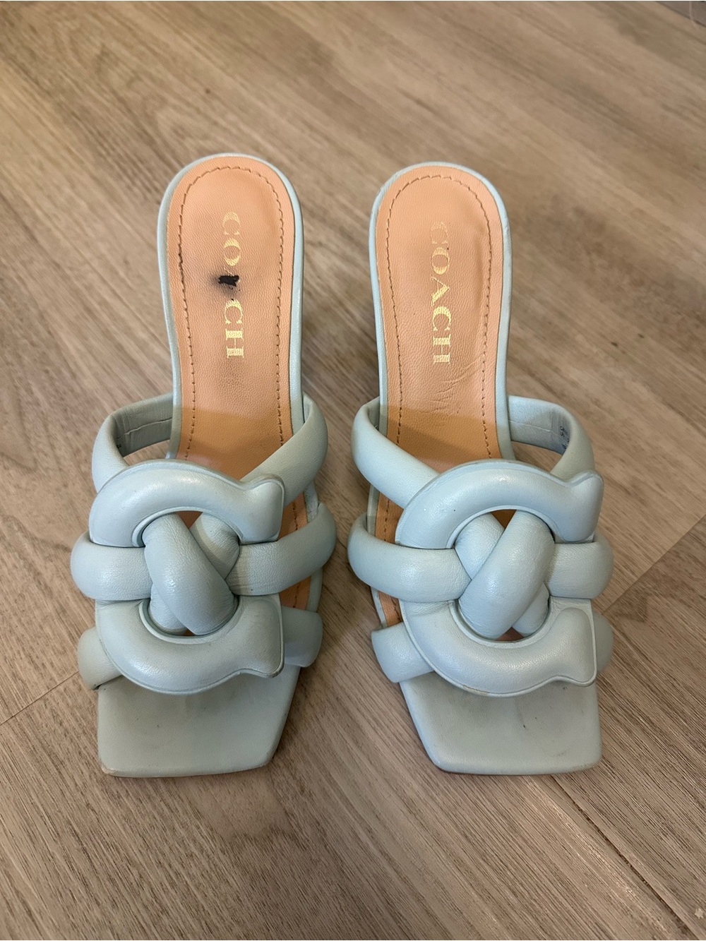 Coach Women's Kellie Blue Knotted Leather Sandals